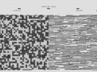 chiral quantum transport